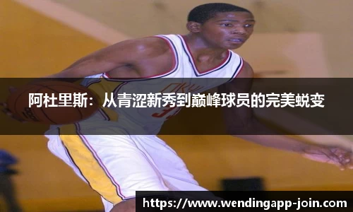 问鼎娱乐公司